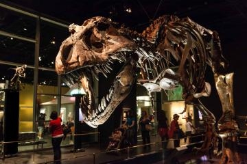 Milwaukee Public Museum